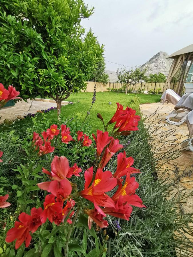 Villa Mater - Luxuriously Equipped Villa With A 15M Long Swimming Pool Žrnovnica المظهر الخارجي الصورة